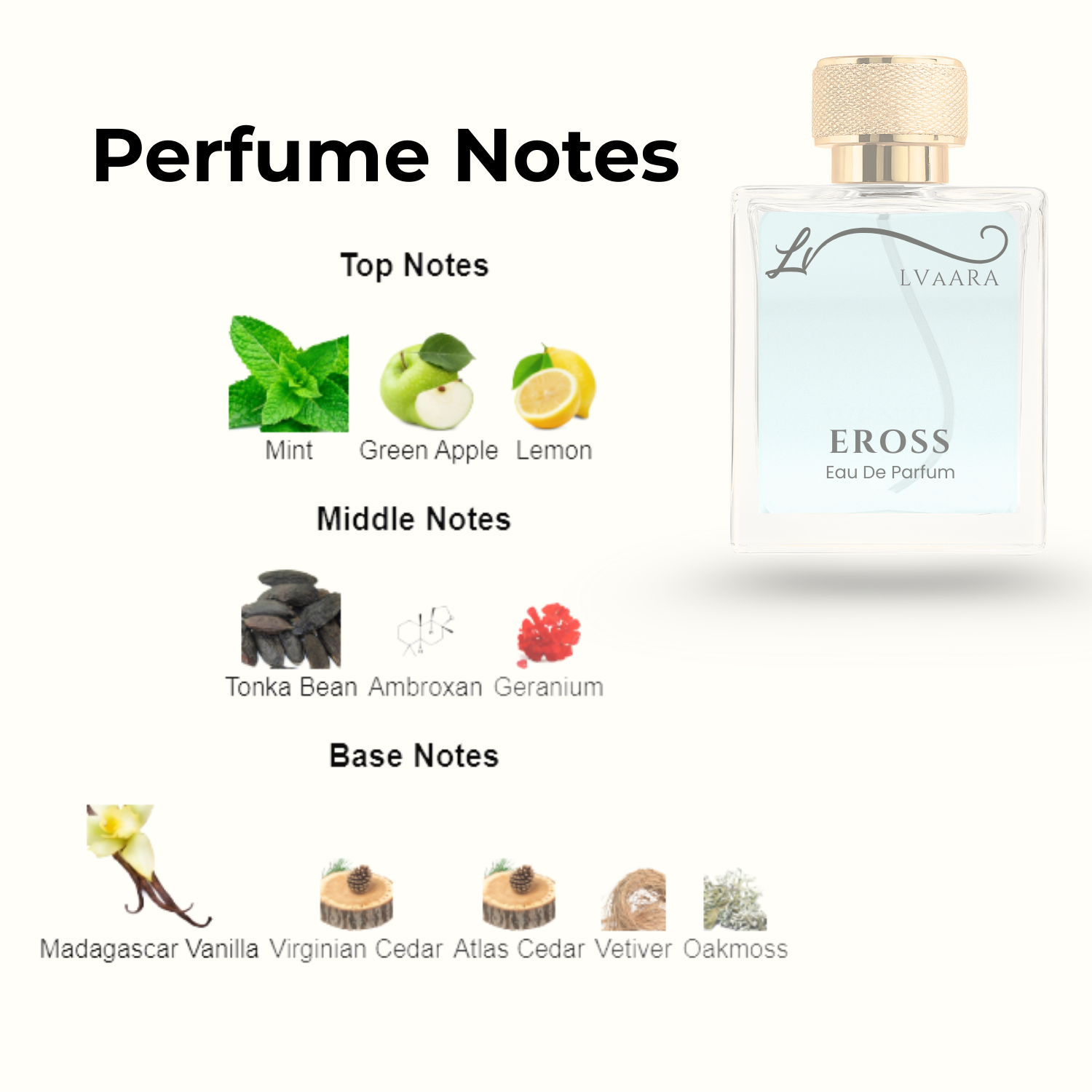 EROSS | INSPIRED BY VERS@CE ER*S | EDP | UNISEX